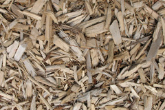 biomass boilers Golford